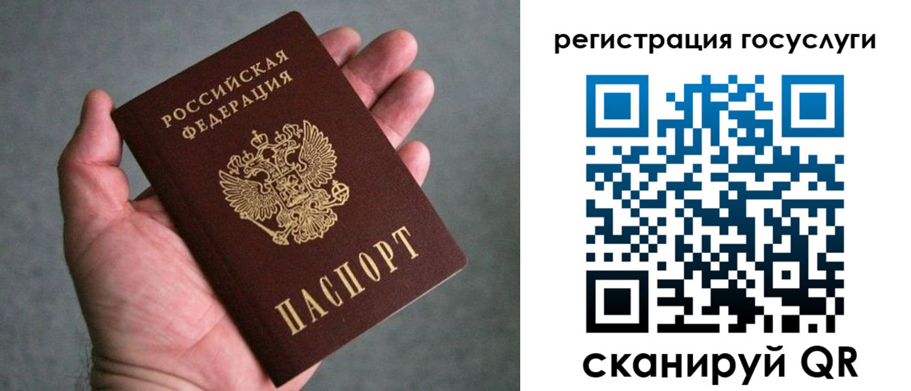 прописка поиск в Малой Вишере